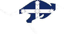 KangaKabs Logo